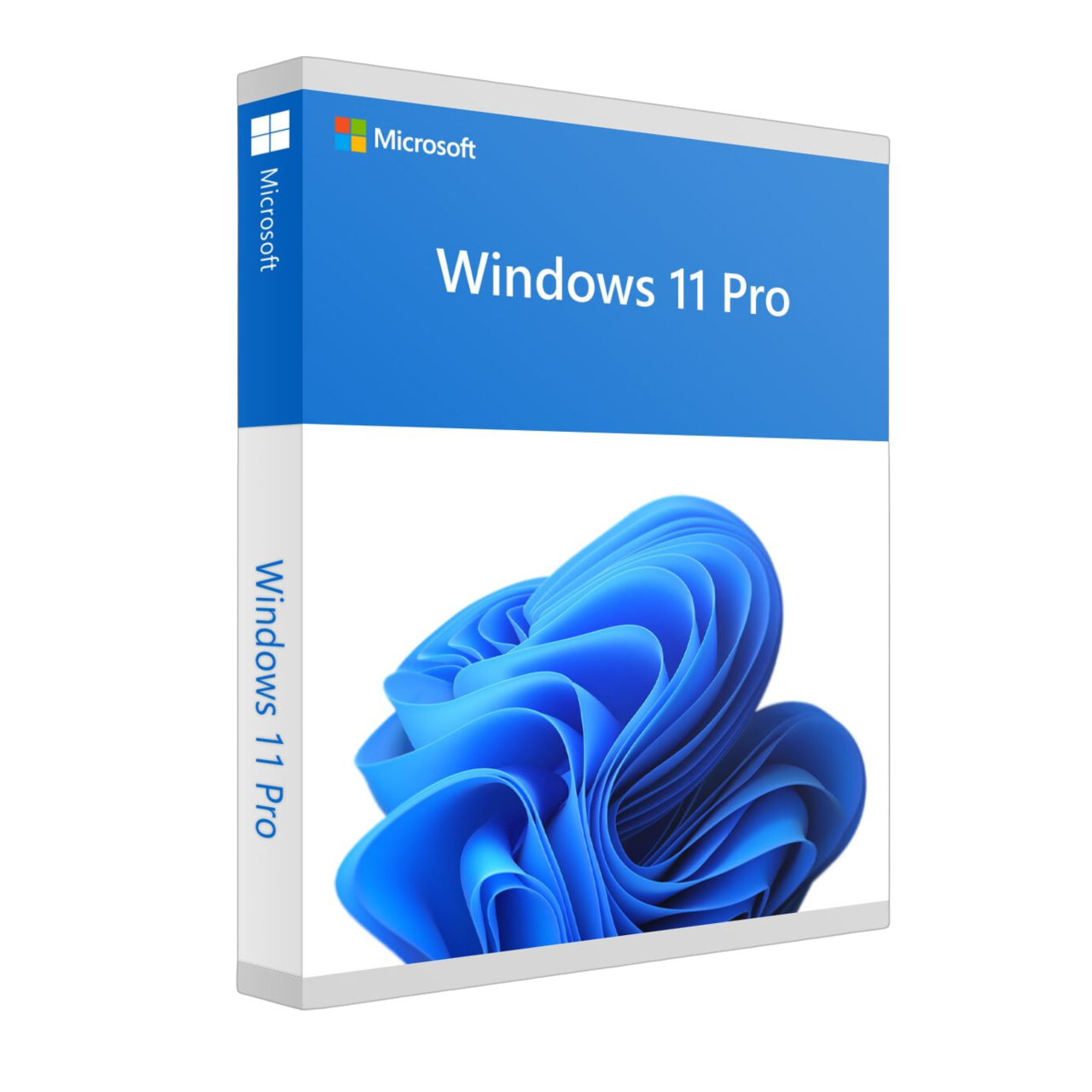Windows 10/11 Pro