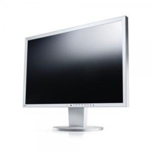 Eizo FlexScan EV2436WFS-GY Lichtgrau 24 Zoll WUXGA 1920x1200 DisplayPort DVI VGA