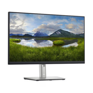 Dell P2422H silber schwarz 23